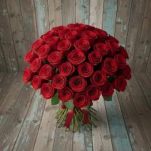 Букет 55 Красных роз Фридом #REPLACE_PRED# Хоста