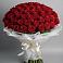 Букет 101 Красная роза Блэк Мэджик в Хоста