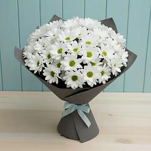 Букет цветов из:  Хризантемы #REPLACE_PRED# Хоста