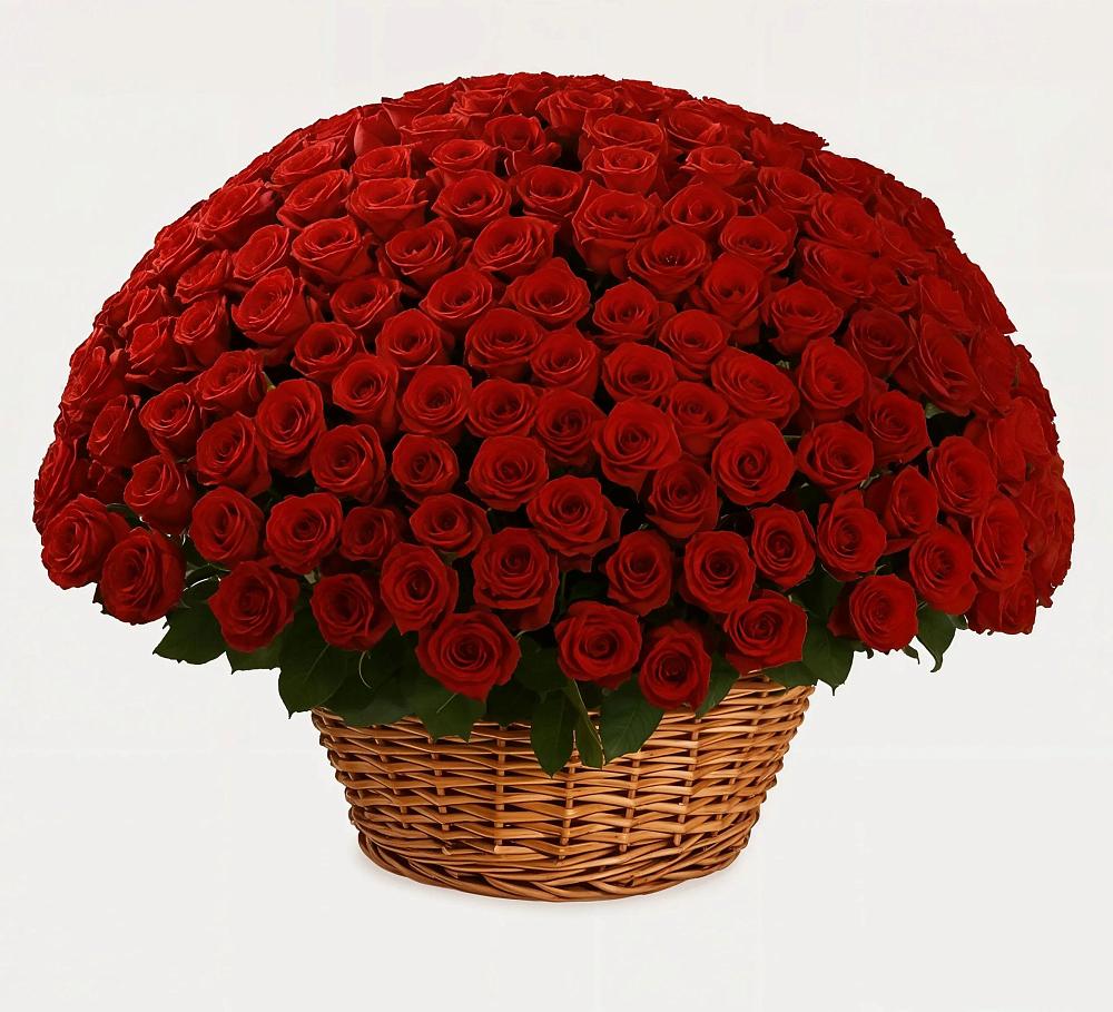 Премиум букет из: Розы в Хоста