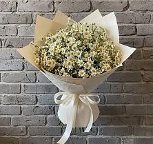 Букет цветов из:  Ромашки в Хоста