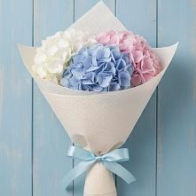 Букет цветов из:  Гортензия в Хоста