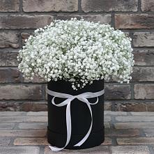 Цветочная композиция из Гипсофила в шляпной коробке в Хоста