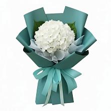 Букет цветов из:  Гортензия в Хоста